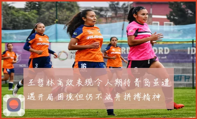 王哲林高效表现令人期待青岛虽遭遇开局困境但仍不放弃拼搏精神