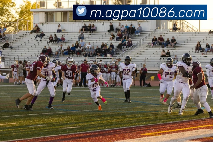 多媒体互动体验